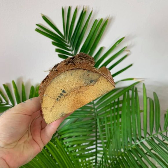 Wise Owl Wood Letter Holder - Picture 4 of 5